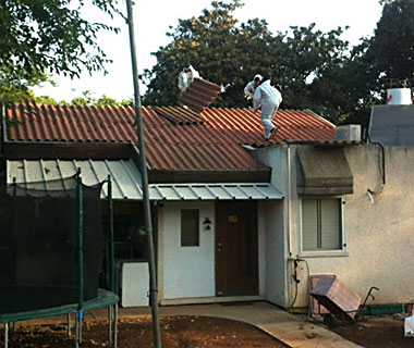 portfolio image